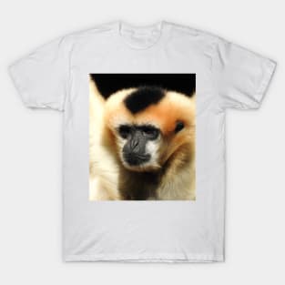 White-cheeked gibbon T-Shirt